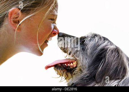 Girl and dog sniffing le nez de l'autre Banque D'Images