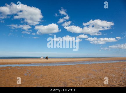 Chevaux sur la plage de Holkham Bay, près de Holkham, Norfolk Banque D'Images