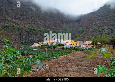Le petit village côtier de pristine Agulo, plantation de bananes, la Gomera, Canary Islands, Spain, Europe Banque D'Images
