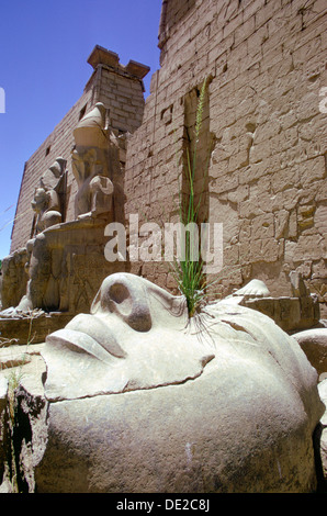 Tombée de la tête d'une statue colossale, Luxor, Egypte. Artiste : Tony Evans Banque D'Images