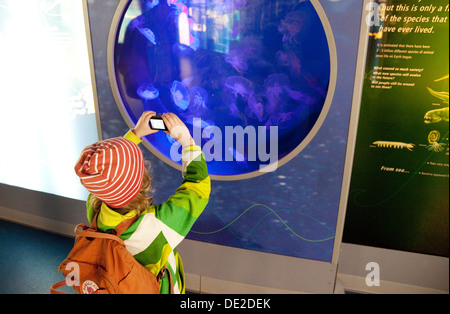 Un enfant prenant une photo de méduses de l'aquarium, le zoo de Londres, Londres UK Banque D'Images