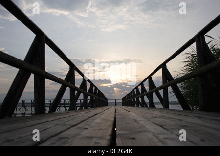 Point de vue d'un pont en bois, Federseesteg jetty, Landkreis Biberach district, en Haute Souabe, Bade-Wurtemberg Banque D'Images