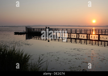 Lever du soleil sur le lac Federsee, sunrise, réserve naturelle, district de Biberach, en Haute Souabe, Bade-Wurtemberg Banque D'Images