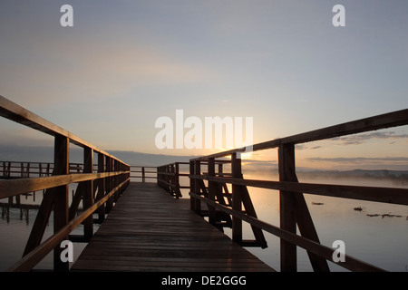 Promenade du lac Federsee Pier, le lever du soleil, la protection de la nature zone en Haute Souabe, district de Biberach, Bade-Wurtemberg Banque D'Images