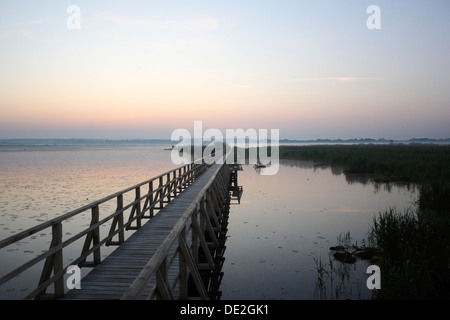 Le lac Federsee, matin, humeur, région du lac Federsee, réserve naturelle près de Bad Buchau, district de Biberach, en Haute Souabe Banque D'Images