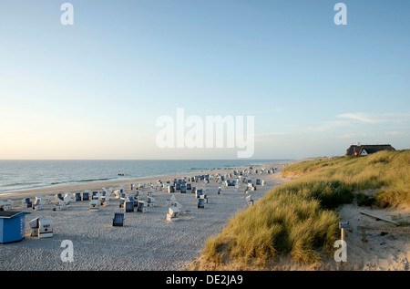 La fin de l'après-midi sur la plage de Kampen, Sylt, Kampen, Sylt, Frise du Nord, Schleswig-Holstein, Allemagne Banque D'Images