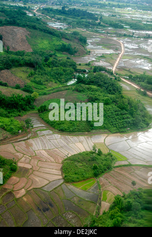 Vue de dessus sur les rizières, le riz humide, la Province d'Oudomxay, Laos, Asie du Sud, Asie Banque D'Images