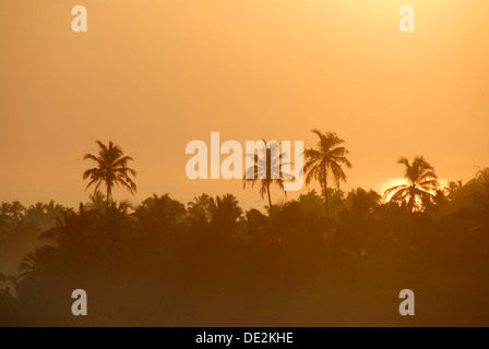 Lever du soleil au-dessus des cocotiers, Talalla à Dondra, océan Indien, Ceylan, le Sri Lanka, l'Asie du Sud, Asie Banque D'Images