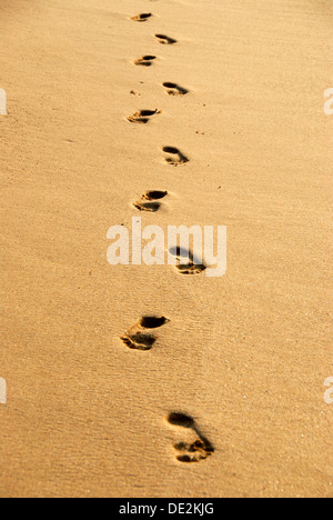 Les traces de pas, empreintes de pieds nus, en jaune sable, sable, Ceylan, le Sri Lanka, l'Asie du Sud, Asie Banque D'Images