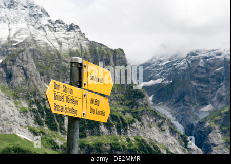 Panneaux jaunes entre Grosse Scheidegg Col et Grindelwald, Oberland Bernois, Canton de Berne, Suisse, Alpes, Europe Banque D'Images