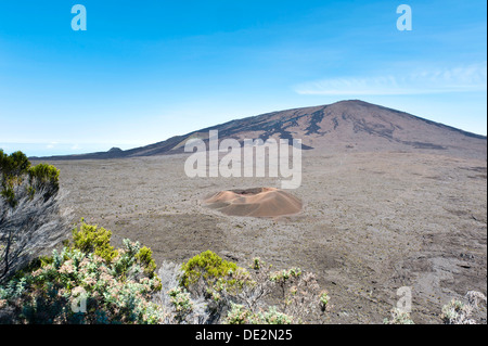 La végétation en face de Formica Léo, un petit cratère de cendres en face du volcan Piton de la Fournaise, vu depuis le pas de Banque D'Images