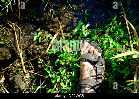 L'homme a l'eau et la boue des pieds après avoir marché dans une rizière à Java en Indonésie Banque D'Images