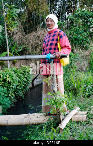 Femme debout par simple pont de bambou sur la rivière après avoir terminé sa journée de travail dans les rizières de java indonésie Banque D'Images