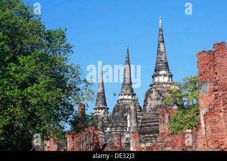 Wat Phra Sri Sanphet, Ayutthaya, Thaïlande Banque D'Images