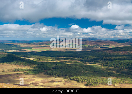 Ben Rinnes et réserve naturelle de Meall Abernethy une Bhuachaille, parc national de Cairngorm Banque D'Images