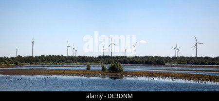 Ferme éolienne de tourbière extérieure avec en arrière-plan, Bargerveen Réserve Naturelle, Emmen, Drenthe, Pays-Bas Banque D'Images