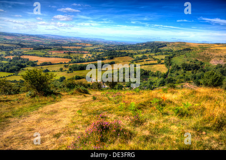 Voir de champs verts de la collines de Quantock Somerset avec ciel bleu en substitution, HDR Banque D'Images