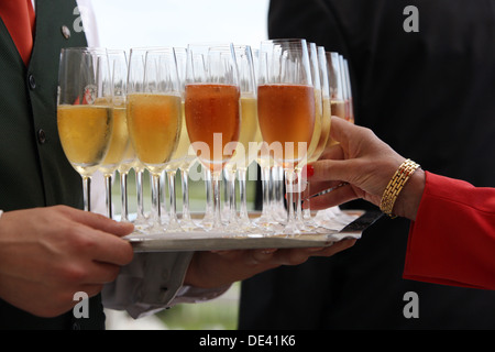 Iffezheim, Allemagne, verres de champagne Banque D'Images