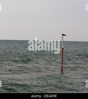 Plus de goélands pôle de mouillage au milieu de la mer bleue en été Banque D'Images