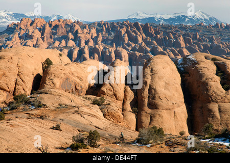 L'Behind-The-des Rocks et La Sal montagnes près de Moab, Utah. Banque D'Images