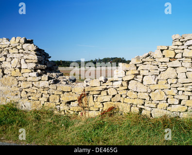 Mur SE du début 18ème Penmon Deer Park, Anglesey, Pays de Galles, avec paroi SW à l'arrière enveloppant les terres agricoles. Cerfs ont été conservés jusqu'à la PREMIÈRE GUERRE MONDIALE. Banque D'Images