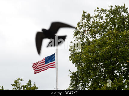 Londres, Royaume-Uni - 11 septembre 2013 : un oiseau vole en face de la mi-mât drapeau américain à l'ambassade des États-Unis à la date anniversaire de l'attentat contre les tours. Credit : Piero Cruciatti/Alamy Live News Banque D'Images