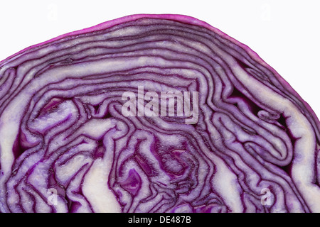Une macro close up d'aliments nutritifs, sains, savoureux et appétissant du chou rouge coupé en deux Banque D'Images