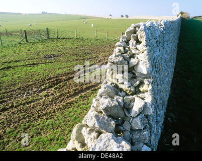 Le nord-est de murs du début 18ème à Deer Park Penmon, Anglesey, construits de moellons de calcaire de la Penmon les carrières. Banque D'Images