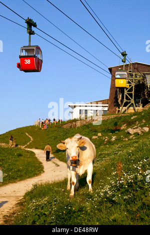 Les touristes et les téléphériques de vache sur le Chiemgau Bavaria Allemagne Kampenwand Banque D'Images