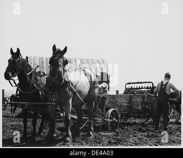 Shelby Comté (Iowa).... Description détaillée, ces photos montrent comment les gens dans cette localité preser . . . 522436 Banque D'Images