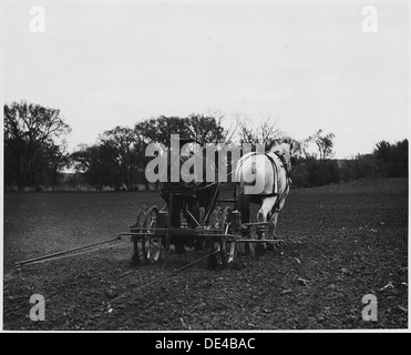 Shelby Comté (Iowa).... Description détaillée, c'est un type commun de semoir à maïs. Il gouttes trois . . . 522445 Banque D'Images