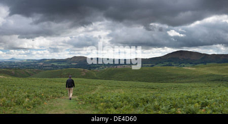 Un homme âgé de 35 ans de marcher sur les pentes de la longue Mynd dans le Shropshire hills Banque D'Images