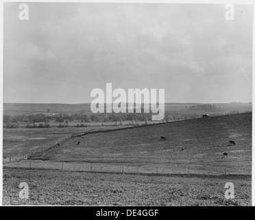 Le comté de Shelby, Iowa. C'est la terre qui soutient les gens dans Irwin - certaines des meilleures terres dans . . . 522294 Banque D'Images