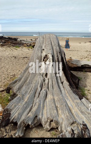 Woman walking on beach derrière de gros morceau de bois flotté Banque D'Images