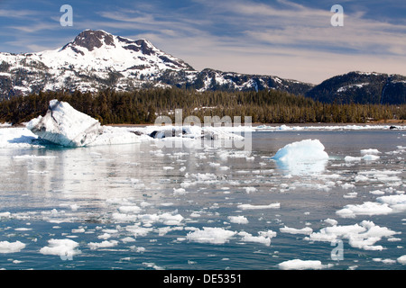 Glacier Columbia, Prince William Sound, Alaska, États-Unis d'Amérique Banque D'Images