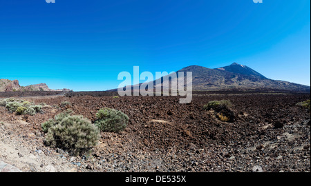 Champ de lave, volcan Teide Mt à l'arrière, le Parc National du Teide, UNESCO World Heritage Site, El Jaral, Tenerife, Canaries, Espagne Banque D'Images