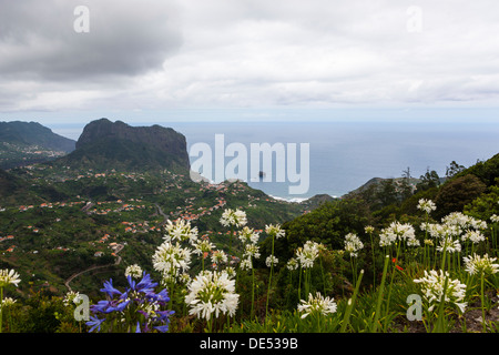 Vue sur Faial vers de Penha d'Aguia ou Eagle Rock, avec Lily of the Nile Agapanthus) (à l'avant, Santana, Porto Moniz Banque D'Images