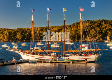 La goélette Margaret Todd recueille ses passagers pour une soirée coucher tour, Bar Harbor, Maine USA Banque D'Images