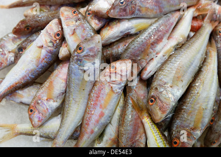 Du poisson pour la vente dans un marché aux poissons, Kusadasi, Aydin province, région de l'Egée, la Turquie Banque D'Images