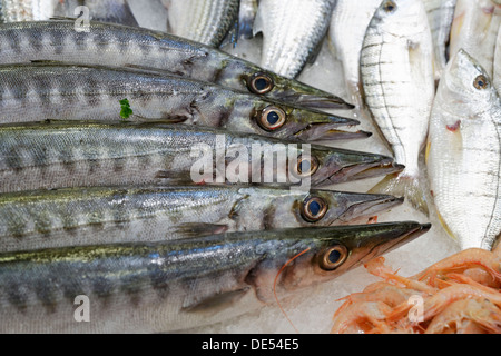 Du poisson pour la vente dans un marché aux poissons, Kusadasi, Aydin province, région de l'Egée, la Turquie Banque D'Images