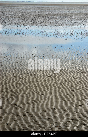 Les vasières à marée basse, à l'arrière l'eiderstedt péninsule, l'île de Pellworm, nord-frisonne de Frise du Nord, Schleswig-Holstein Banque D'Images
