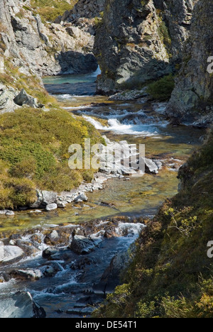 Ruisseau de montagne dans une gorge, vallée de heutal, Suisse, Europe Banque D'Images