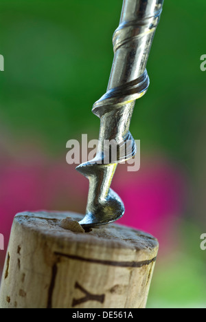 Fermer voir tire-bouchon sur la bouteille de vin tire bouchon extérieur avec floral background Banque D'Images