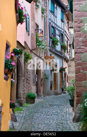 Scène de rue à floral calme célèbre village médiéval de Riquewihr Alsace France Banque D'Images