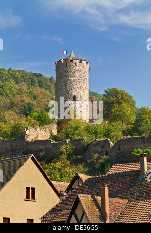 Le Château de Kaysersberg avec drapeau français situé dans les vignes au-dessus de la ville médiévale de Kaysersberg Alsace France Banque D'Images