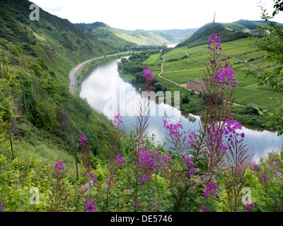 Vue sur une boucle de la Moselle et l'abbaye de Kloster Stuben, vu de l'Église Sainte-fauste Route de corde fixe, près de Bremm Banque D'Images