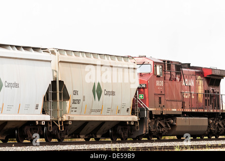 Le Canadien Pacifique (CP Rail) train de fret transportant des wagons de Canpotex, Maple Creek, Saskatchewan, Canada. Banque D'Images