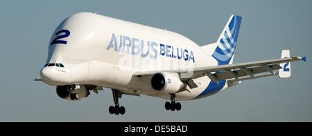 Un Airbus Beluga arrive sur le site de production d'airbus en Hamburg-Finkenwerder, Allemagne, 6 septembre 2013. L'Airbus A300-600ST Beluga est un moteur d'avion cargo d'Airbus S.A.S. Photo : Sven Hoppe Banque D'Images