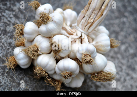 Tresse de bulbes sur une table de pierre brute gris Banque D'Images