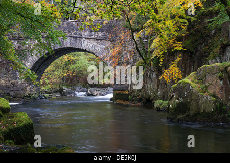 Couleurs d'automne sur la rivière à un pont au-dessus de l'Aber Glaslyn près de Snowdonia, le Nord du Pays de Galles de Beddgelert Banque D'Images